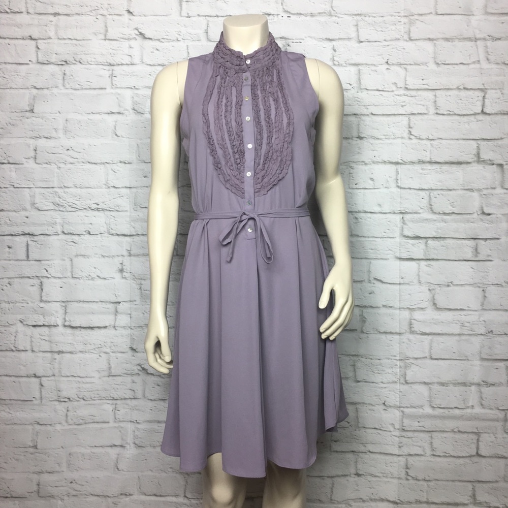 Zara Basic Purple Sleeveless Button Dress Medium